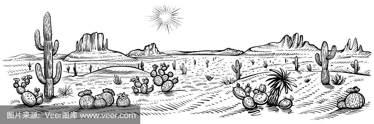 沙漠全景景观,矢量插图.亚利桑那线素描仙人掌和岩石.