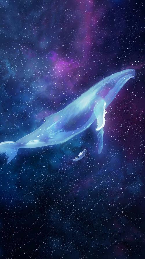 星空 唯美 大鲸