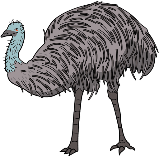 动物勾线手绘平面插画元素鸵鸟