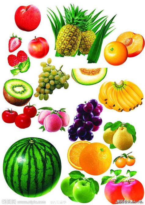 水果大全的名字100种水果