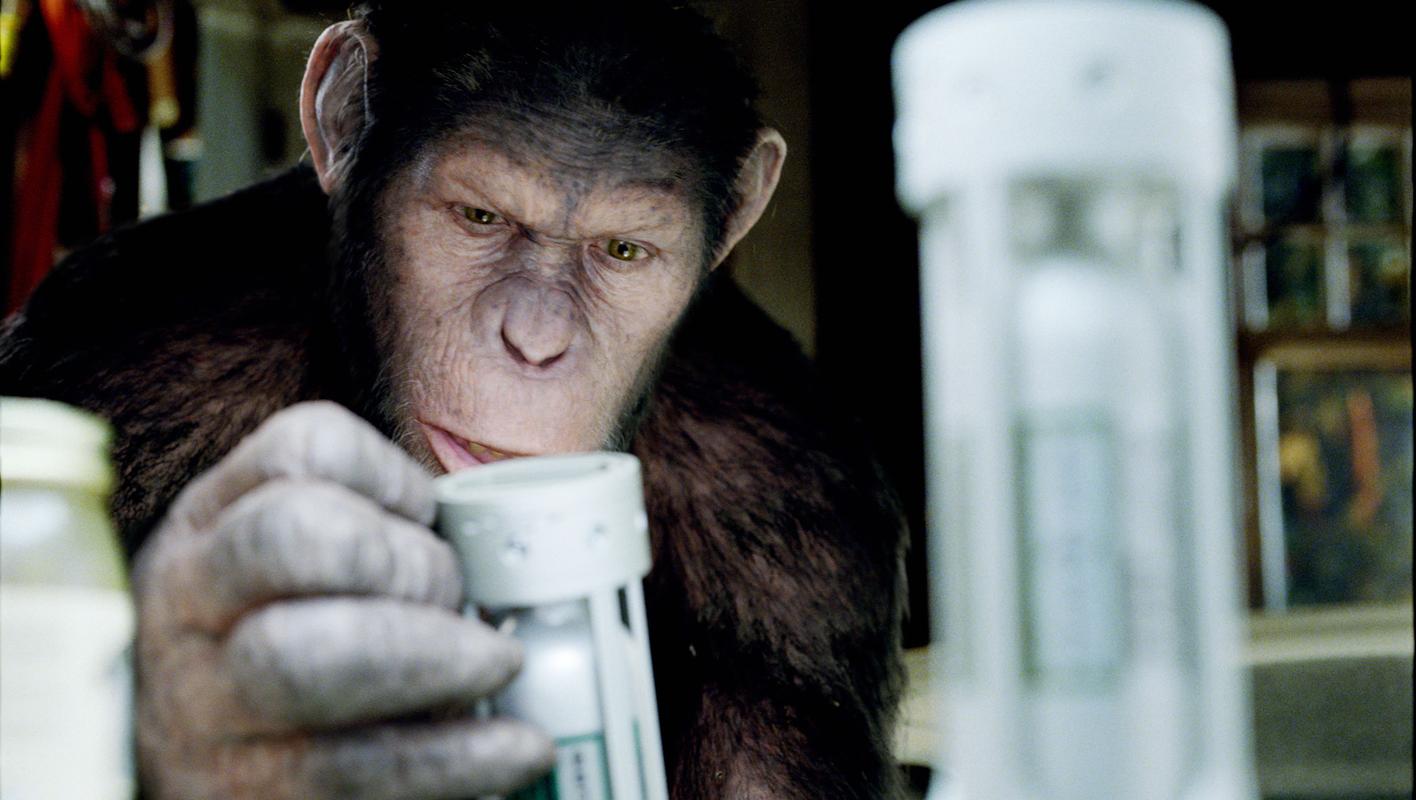 科学家拿大猩猩做实验,本想研制新药造福人类,却意外害死60亿人