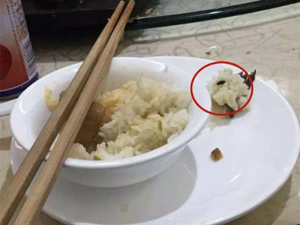 孕妇在米饭中吃到老鼠屎店家试图用50块钱解决