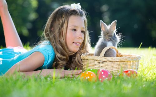 复活节彩蛋,可爱的女孩,兔子,复活节快乐壁纸