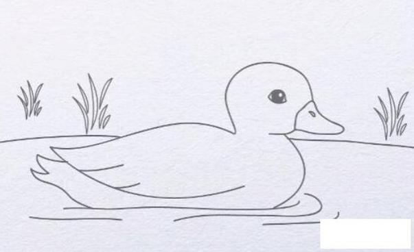 水里的鸭子简笔画