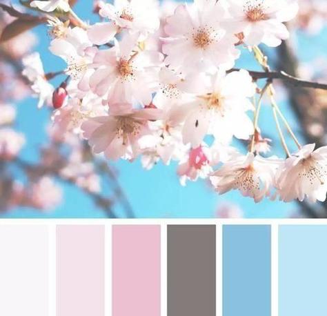 色卡里的春天春天用色卡营造清新自然的色彩搭配