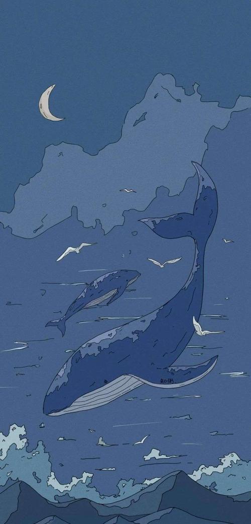 鲸落