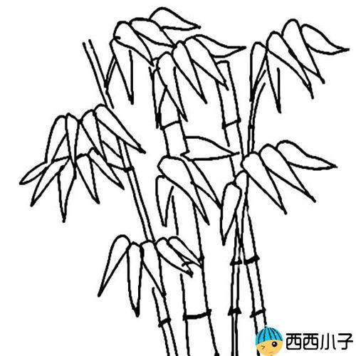 翠色欲滴的竹子简笔画图片 5068儿童网可爱竹子的简笔画 竹子简笔画6