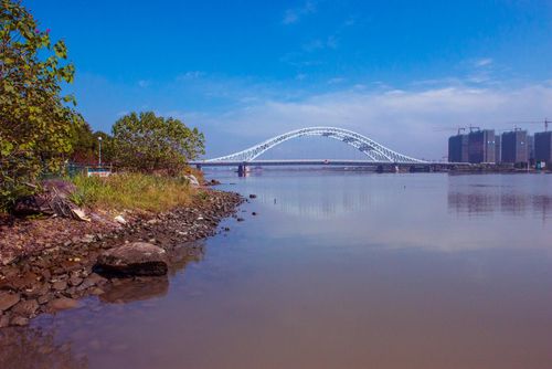 湾头大桥-《大众摄影》俱乐部团体会员——宁波新方特摄影俱乐部(3星)