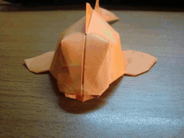立体锦鲤鱼折纸