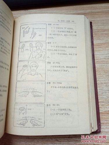 中国手语_中国聋人协会编辑_孔夫子旧书网