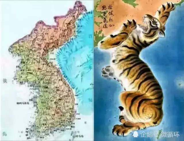 美国地图像犀牛中国地图像雄鸡日本韩国地图像什么