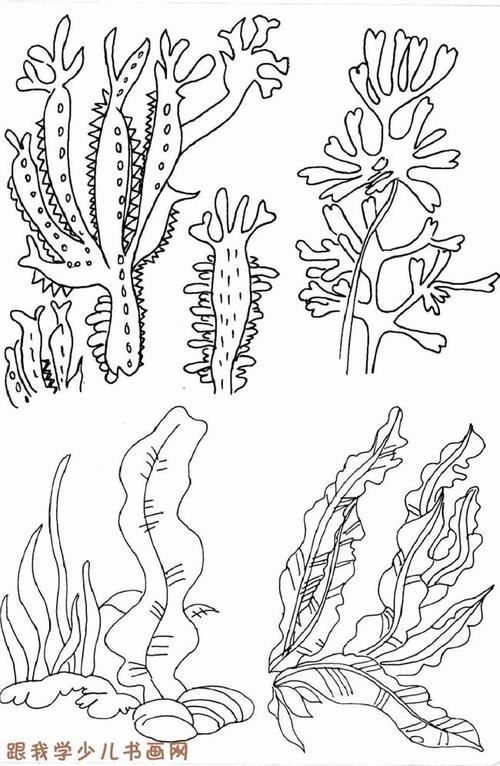 海底世界植物简笔画珊瑚