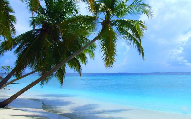 海边,椰树,沙滩,大海,壁纸海边椰树唯美风景电脑桌面壁纸