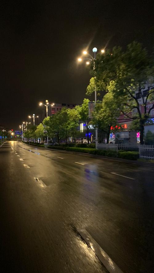 雨天的夜晚街上的路灯显得特别凄凉