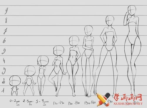 漫画教程_人物的身材比例_人体比例图_漫画教程_学画画网_国内最大的