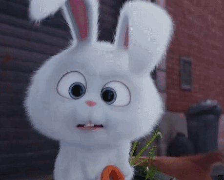 可爱小兔子表情包一