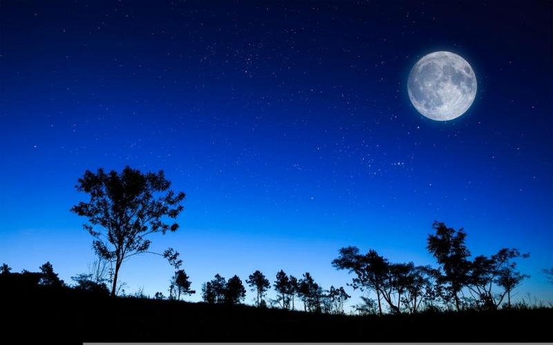壁纸月亮夜晚天空树木星星剪影高清图片壁纸自然风景