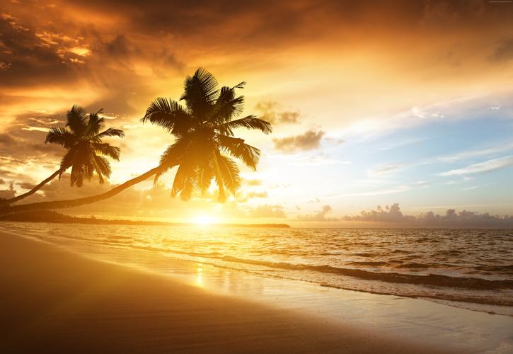 海滩5k4k壁纸海洋日落棕榈树度假旅程水平5120x2800分辨率查看