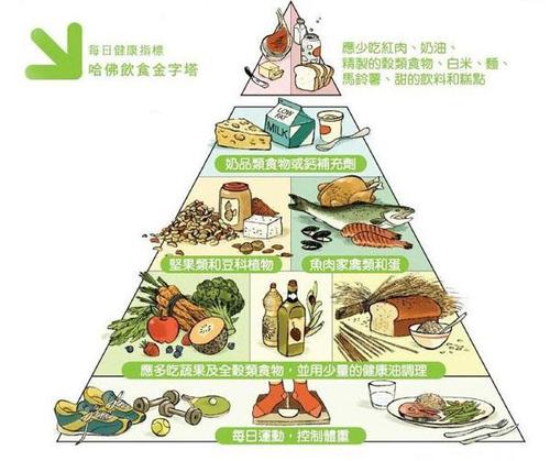 美国"饮食指南金字塔","中国居民膳食宝塔" 告诉我