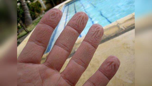 为什么长时间泡水,手指容易变皱?看完刷新了我的三观