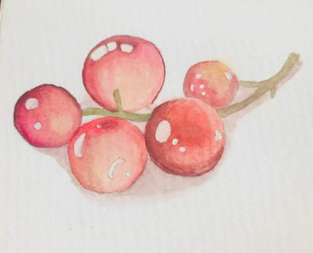 水彩画简单水果水彩画简单水果教程
