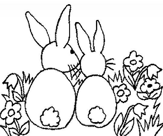 兔子简笔画40