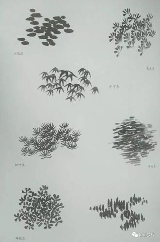 国画教程山水树的画法