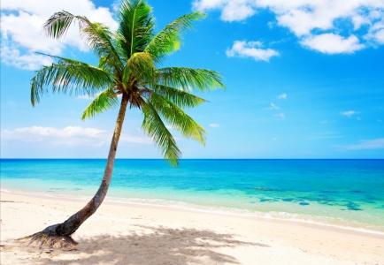 美丽的蓝色大海,天空,沙滩海岸,翡翠,海洋,棕榈树风景图片