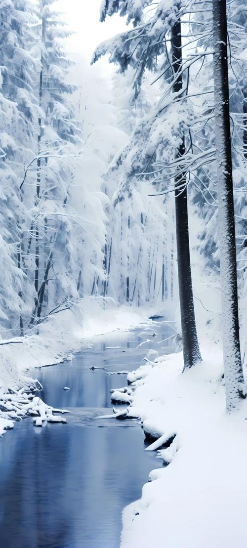 手机壁纸冬日雪景高清壁纸图片原图无水印下载