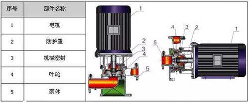 红雁家用型增压泵的内部结构