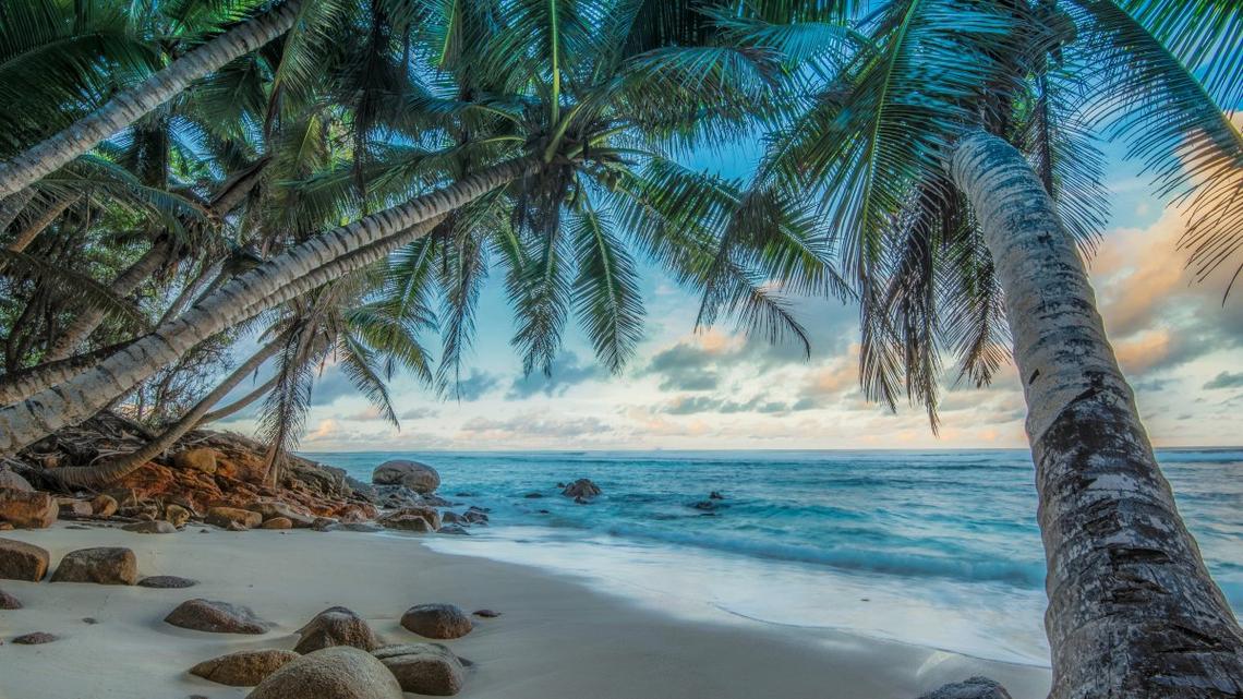 海边椰树沙滩hdr风光4k高清图片,4k高清风景图片,娟娟壁纸
