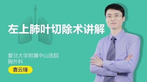 袁云锋:解剖学风格胸腔镜肺系列—左上肺叶切除术讲解
