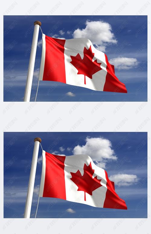原创加拿大国旗与剪切路径版权可商用