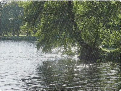 山水,下雨,花鸟,人景动态图片欣赏*