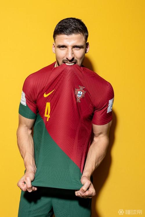 葡萄牙国家队世界杯定妆照.|懂球帝