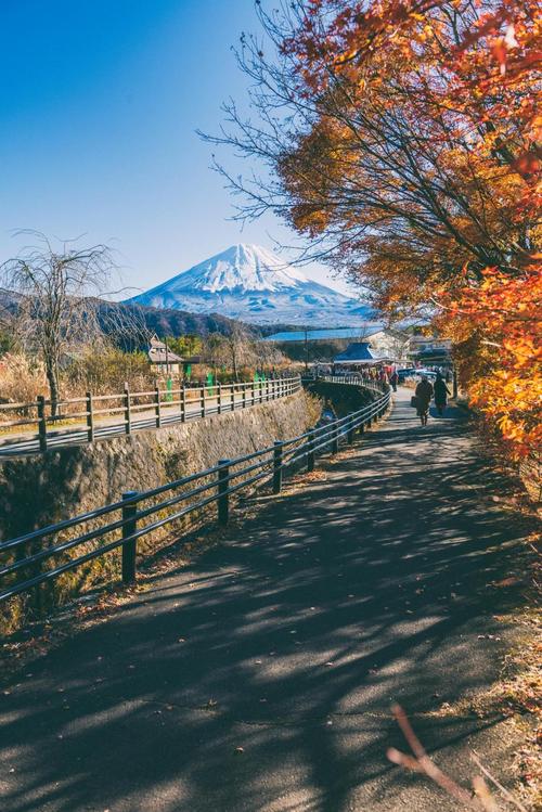 日本富士山迷人随景,图片大全,高清,图库-回车桌面