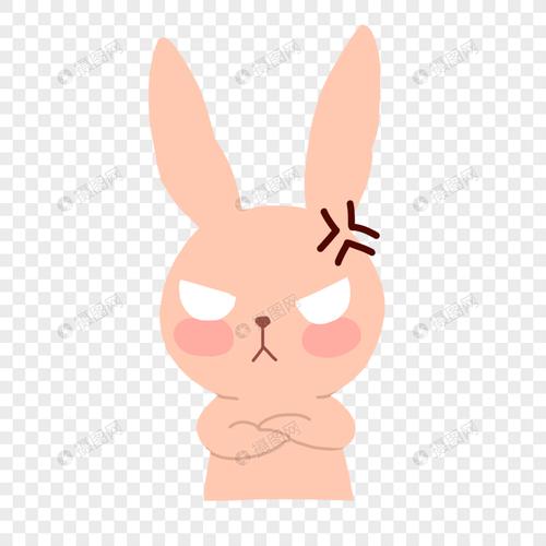 兔子生气表情