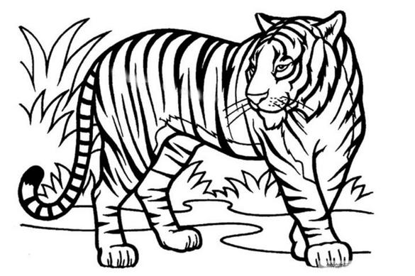最可爱的小老虎怎么画 最可爱的小老虎怎么画简单 | 第 2 页
