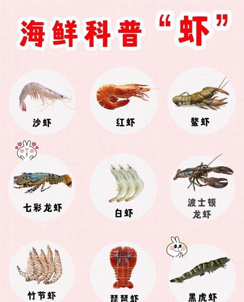 常见的虾08种类,你又认识几种?