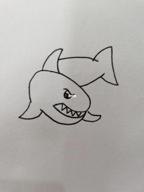 day20今天画的是一只鲨鱼