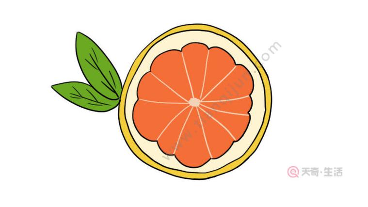 柚子简笔画彩色 柚子简笔画彩色画法 - 天奇生活