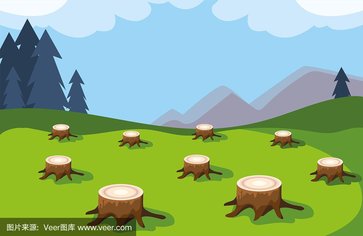 树桩表明森林砍伐,环境灾难
