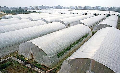 贵州蔬菜种植大棚厂家 按需定制