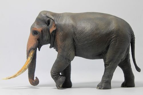 亚洲象涂装完成,亚洲最著名大象,台湾民从都叫它林旺爷爷 给以厚爱