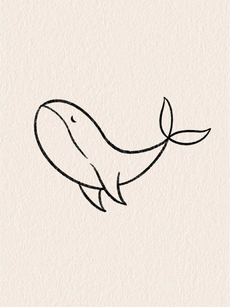 简笔画教程03✨ 🌸鲸鱼简笔画来咯 —— 之前发的一篇粉丝说鲸鱼