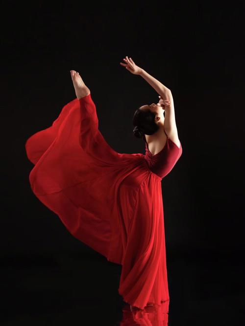 舞蹈造型以舞蹈美的准则创造的人体动作姿