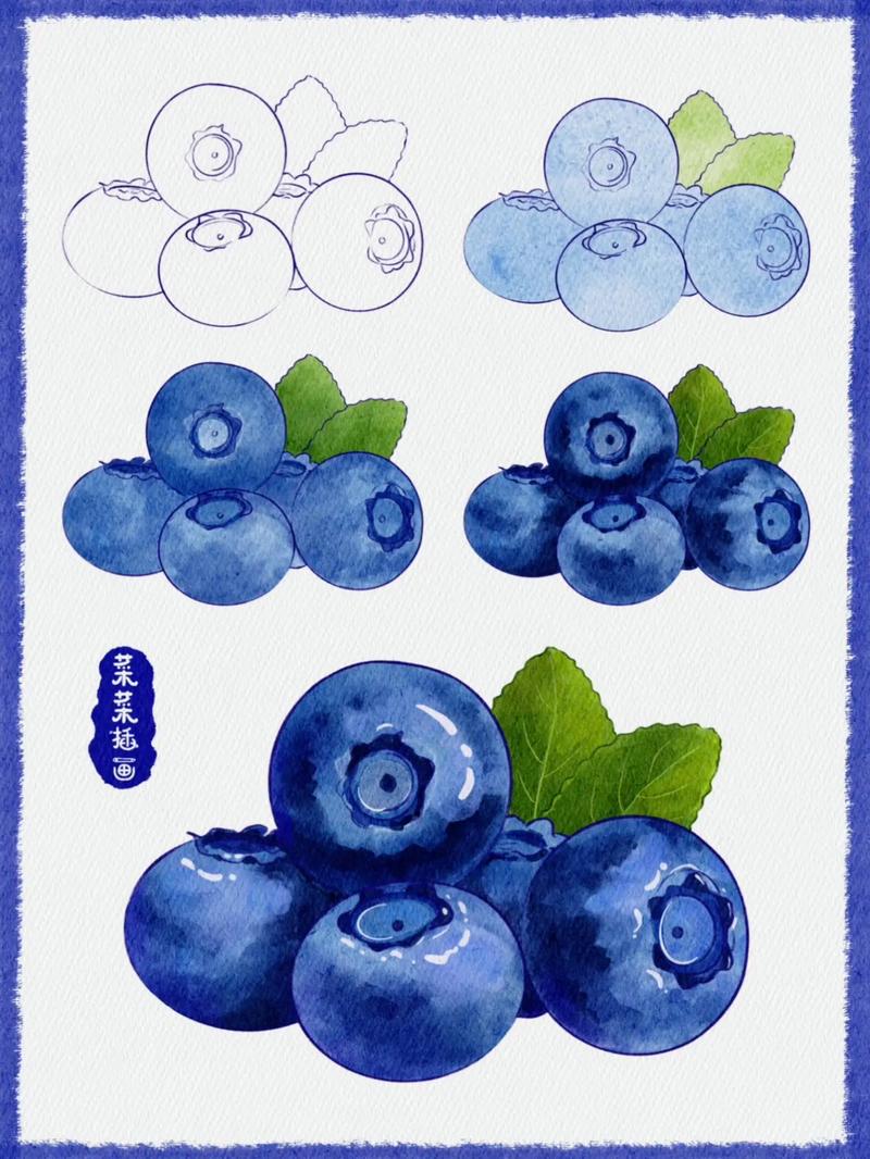 lpad水彩插画教程美食|水果|蓝莓08.之前的库存 线稿和 - 抖音