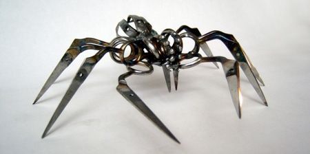 蜘蛛xingzhuang-花瓣网|陪你做生活的设计师 | 剪刀蜘蛛