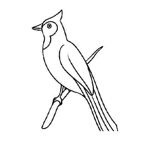 简笔画小鸟的画法数字简笔画小鸟的画法