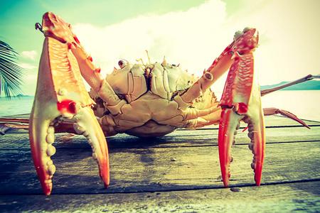 白色背景上编写的螃蟹和生菜,海鲜火锅粉丝大海生活动物手绘草图一套